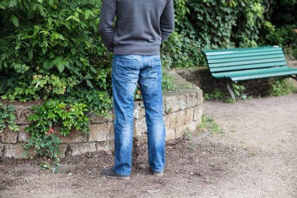 Rear View Of A Man Peeing In Park